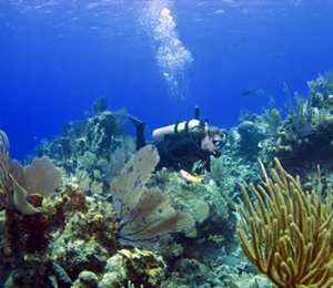 Current Nassau Scuba Dive Specials